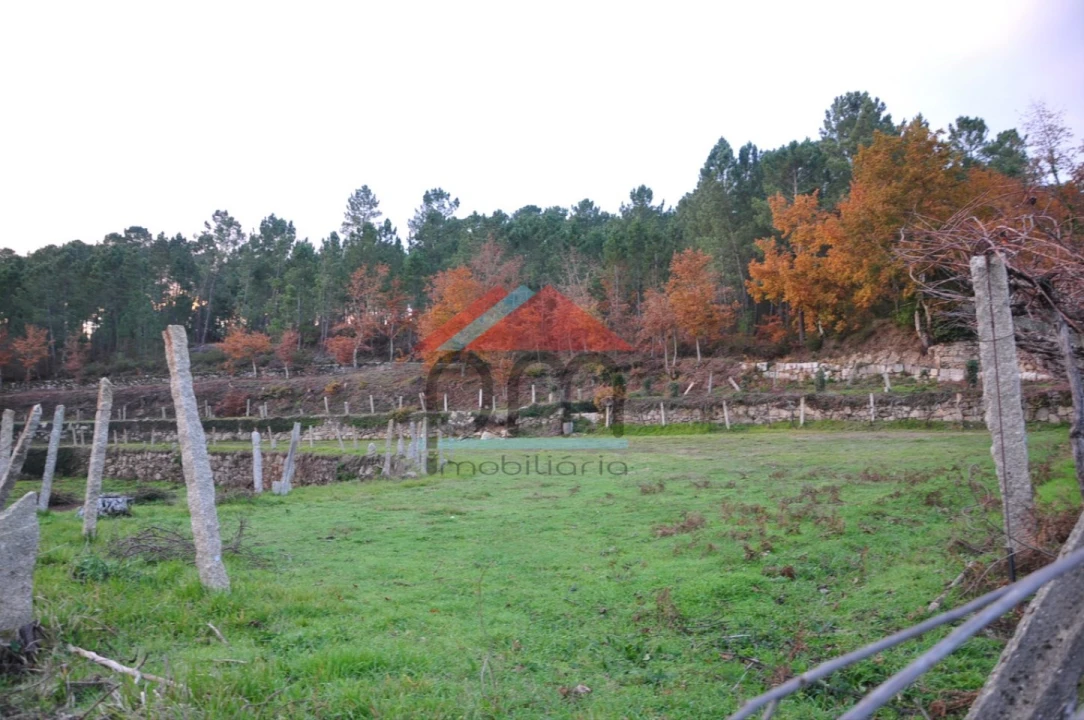 Terreno para Venda em Podame Foto 5