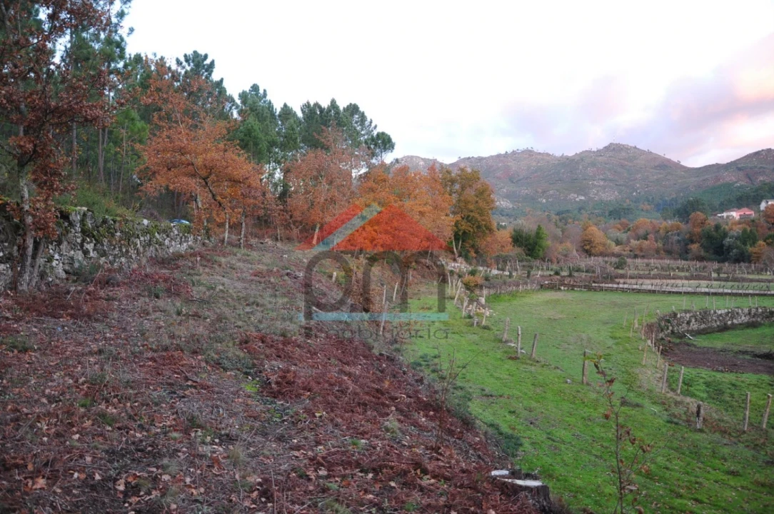 Terreno para Venda em Podame Foto 9