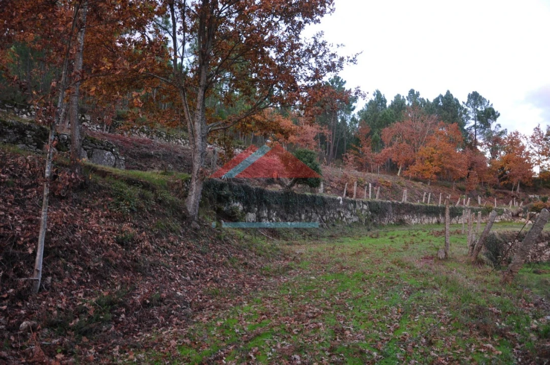 Terreno para Venda em Podame Foto 10