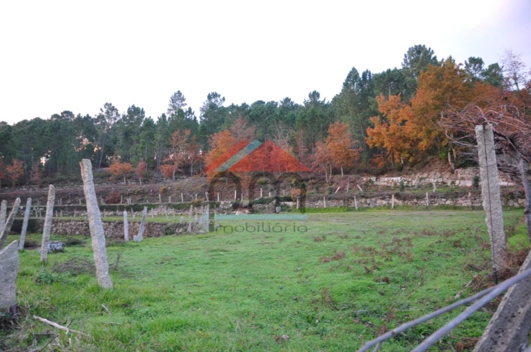 Terreno para Venda em Podame Foto 5