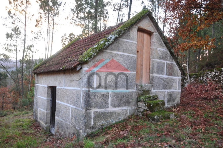 Terreno para Venda em Podame Foto 1