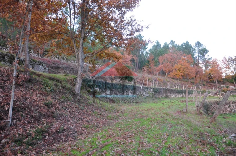 Terreno para Venda em Podame Foto 11