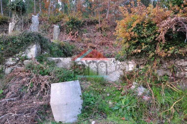 Terreno para Venda em Podame Foto 13