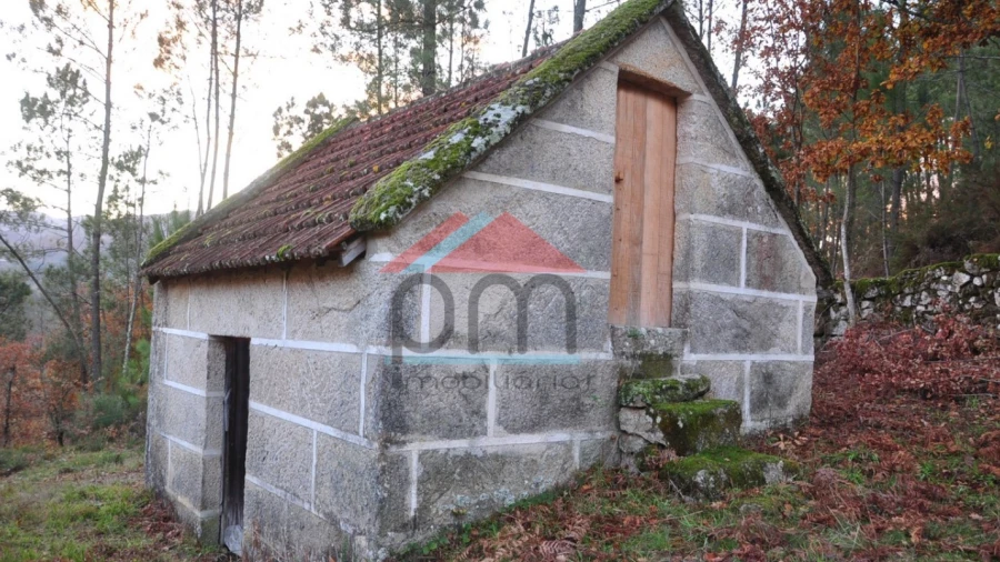 Terreno para Venda em Podame