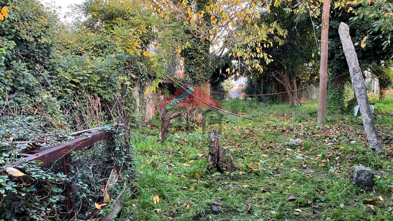 Terreno para Venda em Bela Foto 3
