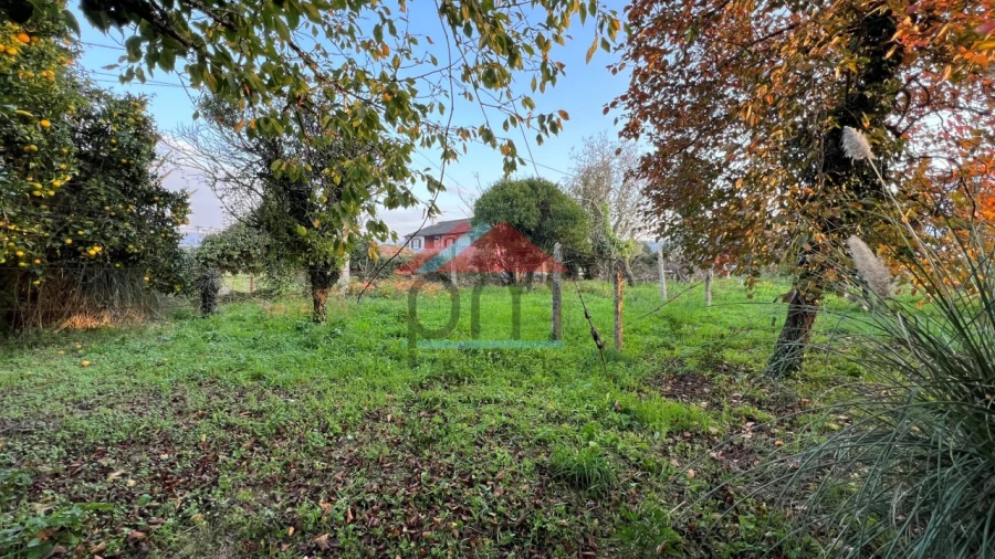 Terreno para Venda em Bela Foto 1