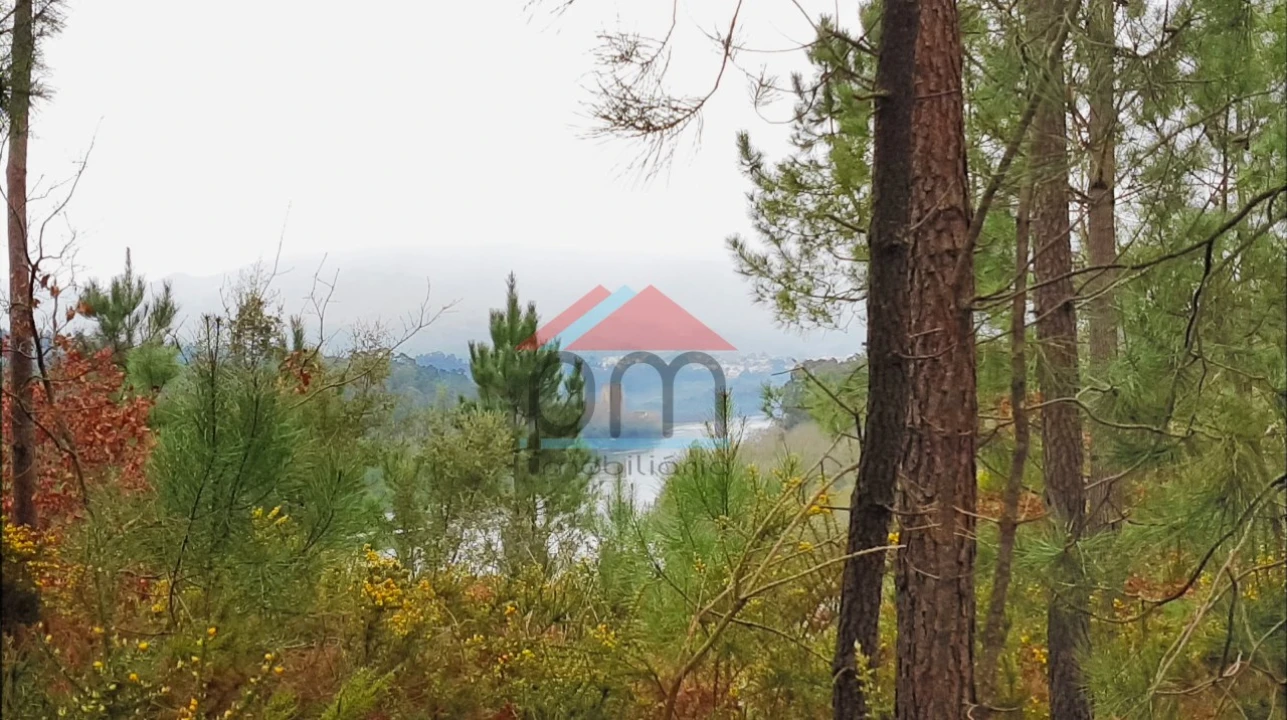 Terreno para Venda em Mazedo e Cortes Foto 6