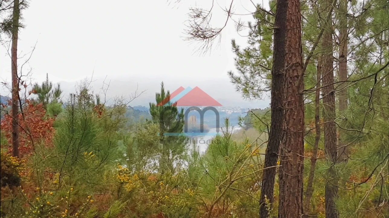 Terreno para Venda em Mazedo e Cortes Foto 8