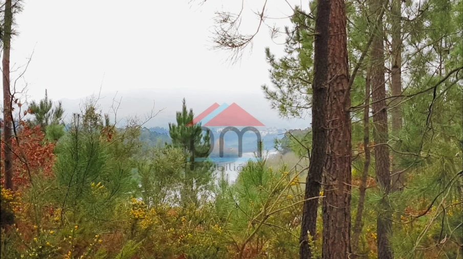 Terreno para Venda em Mazedo e Cortes Foto 6