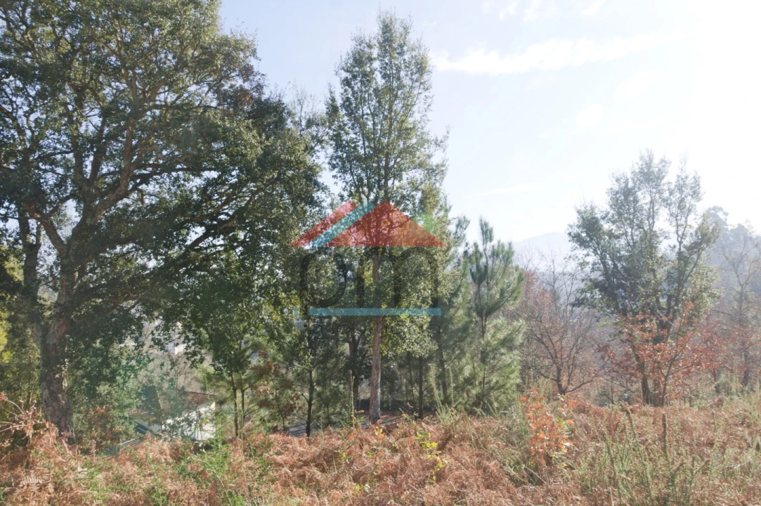Terreno para Venda em Troporiz e Lapela Foto 1