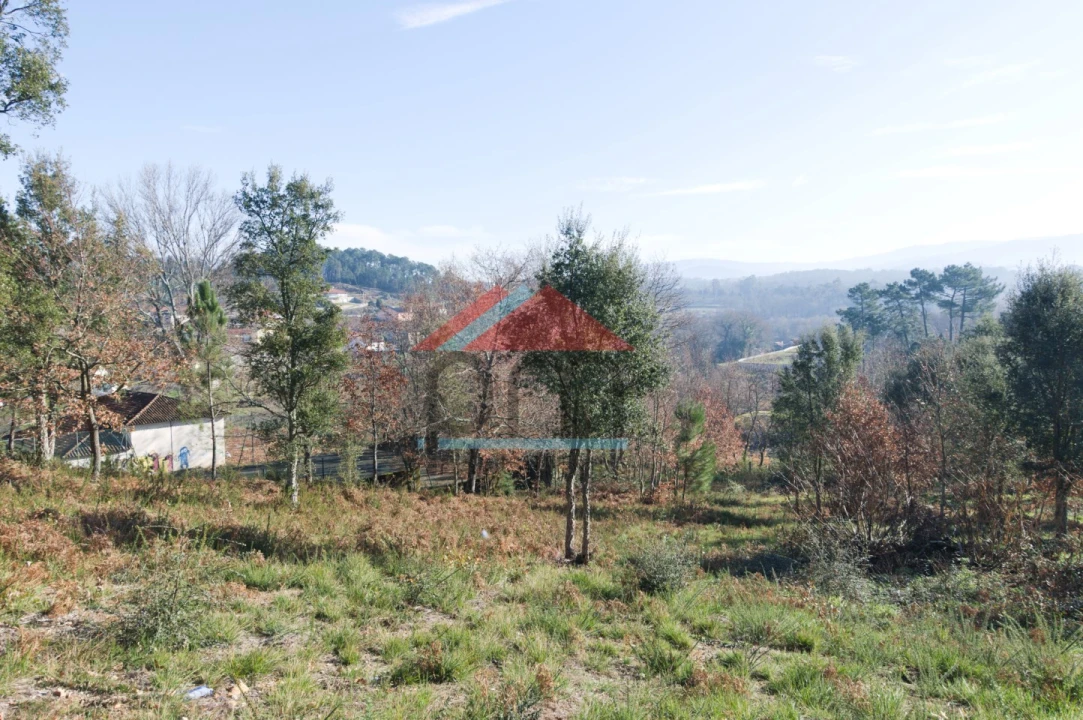 Terreno para Venda em Troporiz e Lapela Foto 3