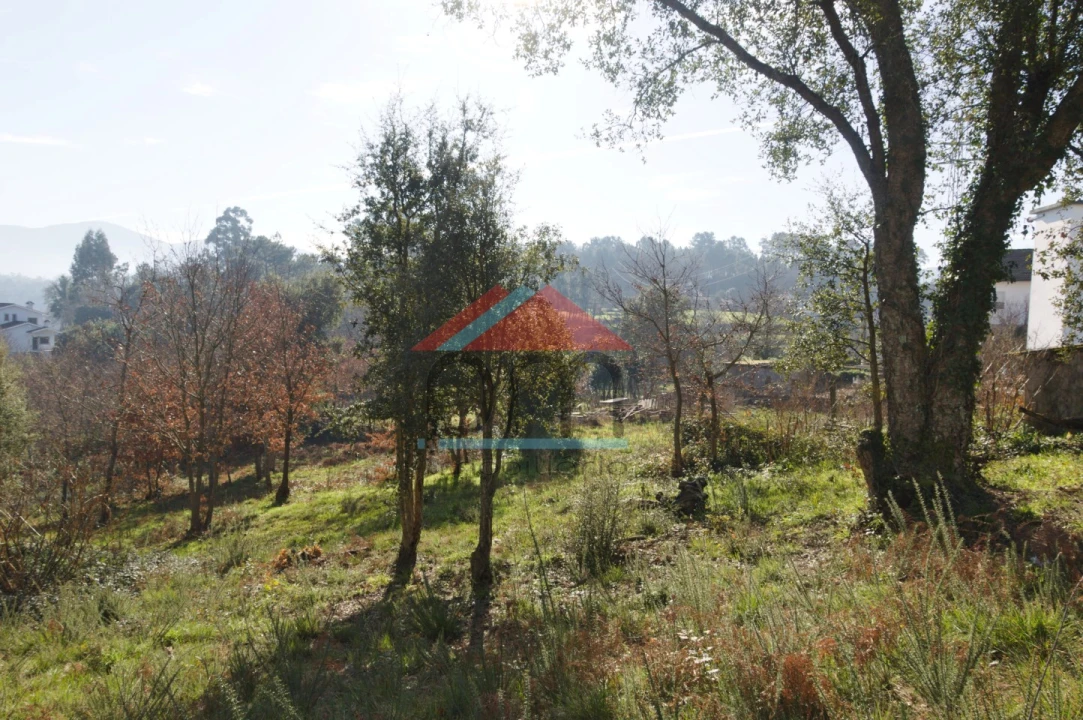 Terreno para Venda em Troporiz e Lapela Foto 6