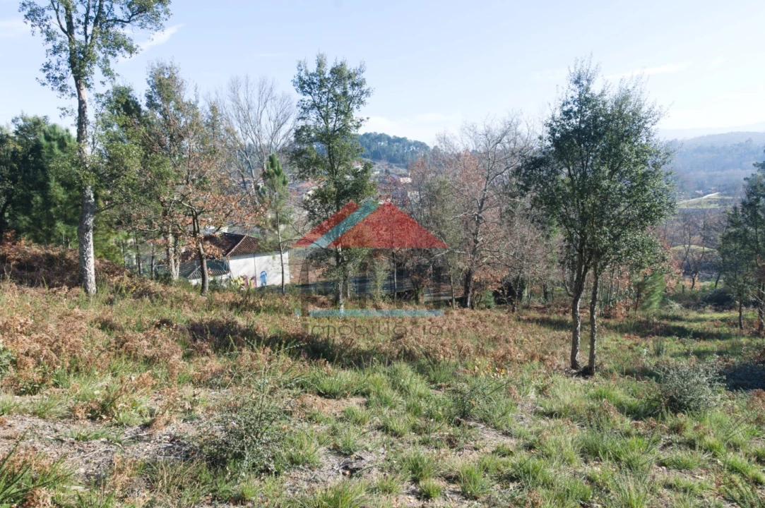 Terreno para Venda em Troporiz e Lapela Foto 7