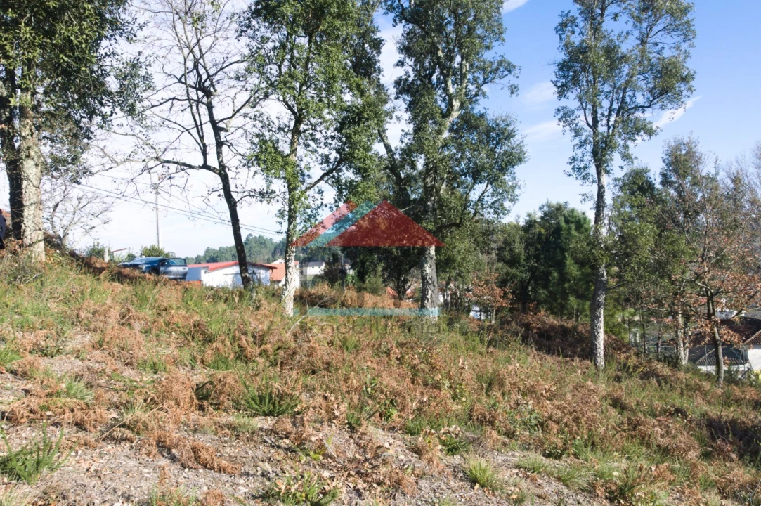 Terreno para Venda em Troporiz e Lapela Foto 8