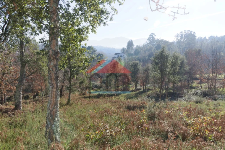 Terreno para Venda em Troporiz e Lapela Foto 2