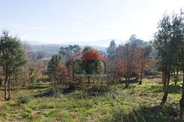 Terreno para Venda em Troporiz e Lapela Foto 4