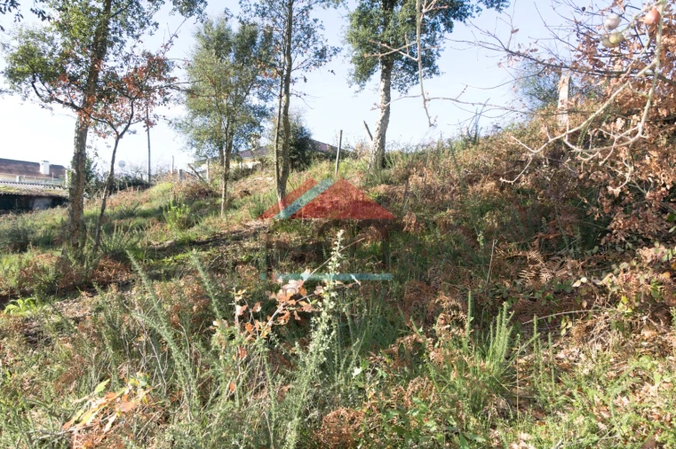 Terreno para Venda em Troporiz e Lapela Foto 5