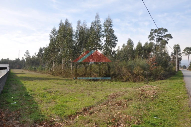 Terreno para Venda em Gandra e Taião Foto 1