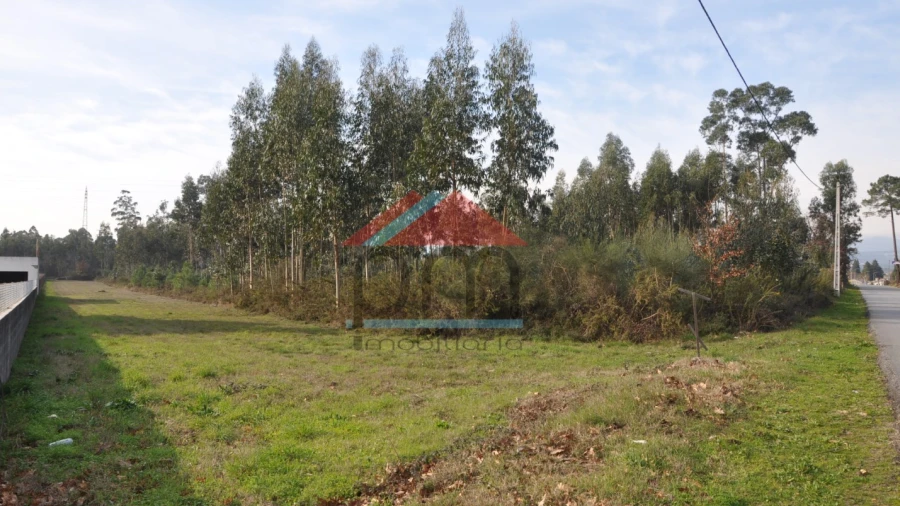 Terreno para Venda em Gandra e Taião