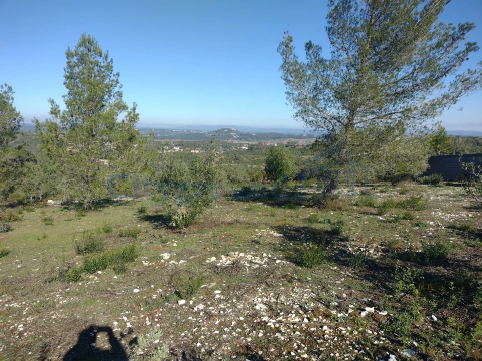 Terreno para Venda em Fatima Foto 4