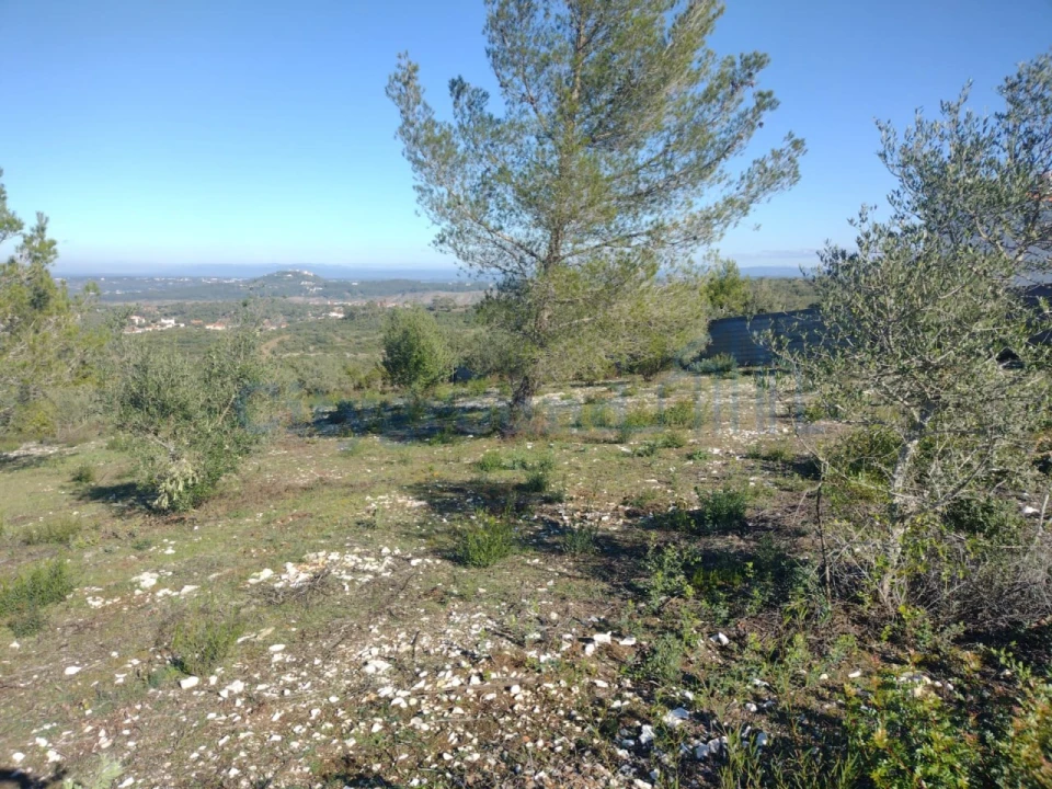 Terreno para Venda em Fatima Foto 5