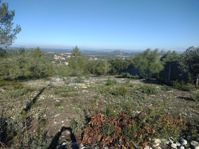 Terreno para Venda em Fatima Foto 11
