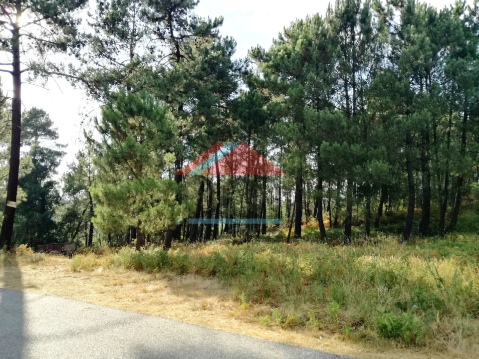 Terreno para Venda em Mazedo e Cortes Foto 5