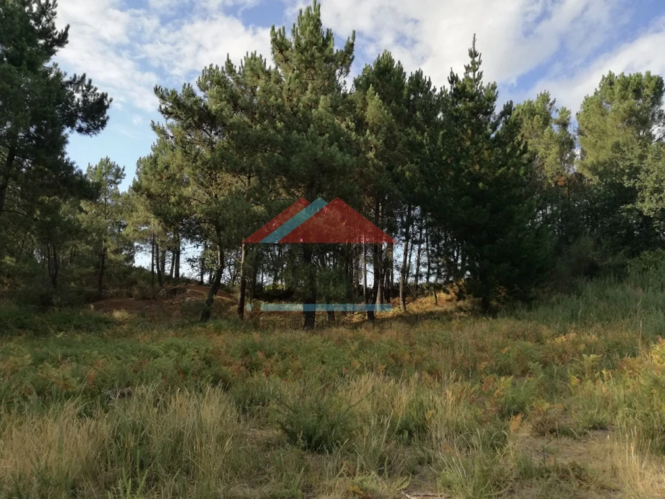 Terreno para Venda em Mazedo e Cortes Foto 6