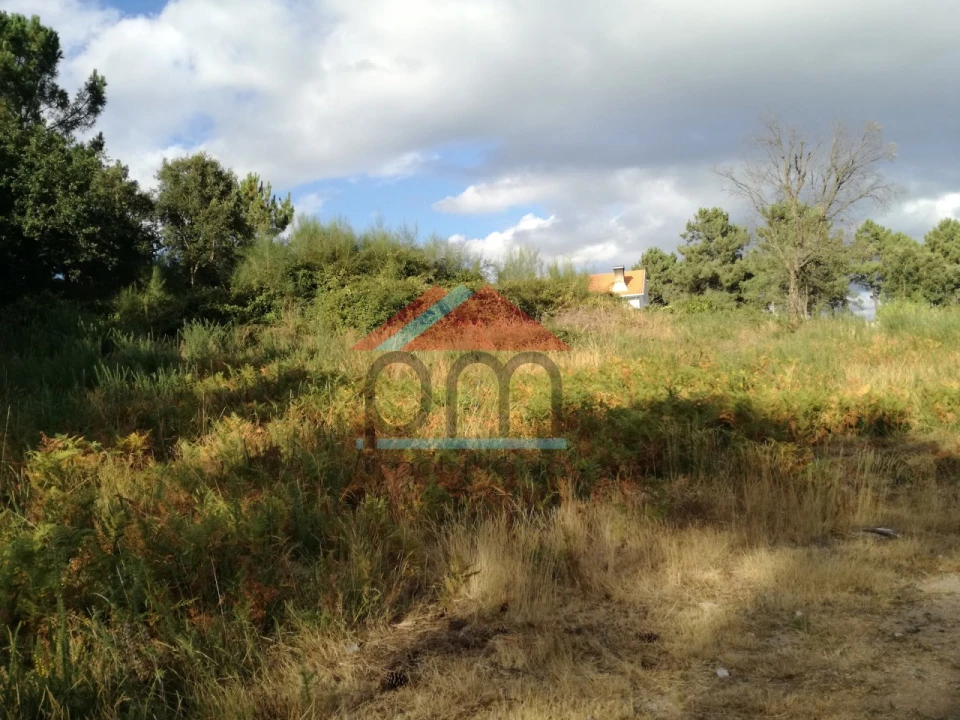 Terreno para Venda em Mazedo e Cortes Foto 10