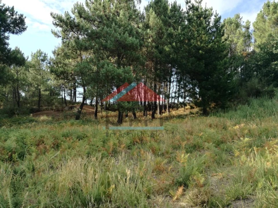 Terreno para Venda em Mazedo e Cortes Foto 11