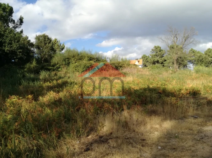 Terreno para Venda em Mazedo e Cortes Foto 10