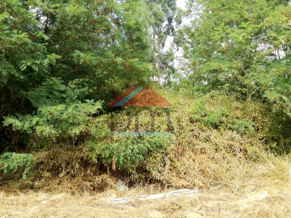 Terreno para Venda em Troporiz e Lapela Foto 2