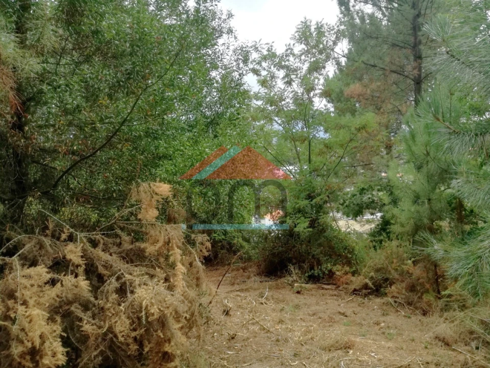 Terreno para Venda em Troporiz e Lapela Foto 4