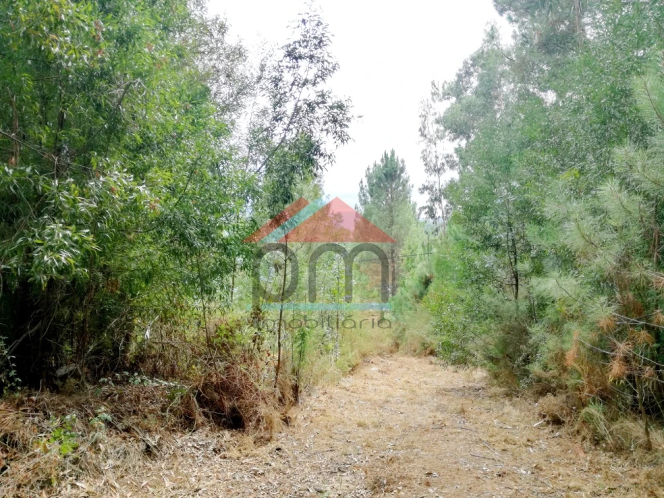 Terreno para Venda em Troporiz e Lapela Foto 6