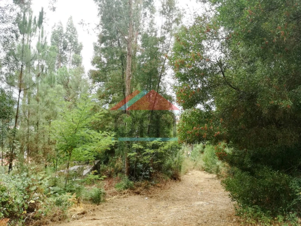 Terreno para Venda em Troporiz e Lapela Foto 8