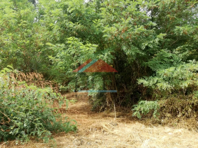 Terreno para Venda em Troporiz e Lapela