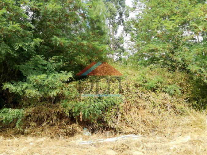 Terreno para Venda em Troporiz e Lapela Foto 2