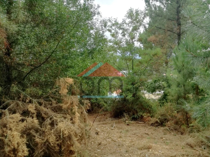 Terreno para Venda em Troporiz e Lapela Foto 4