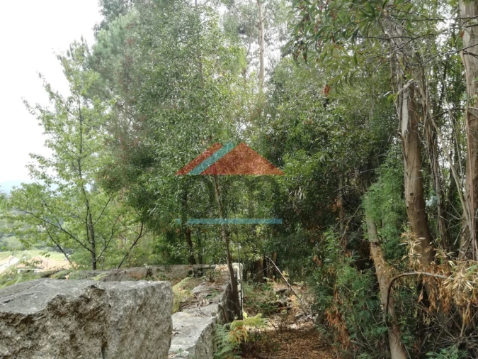 Terreno para Venda em Troporiz e Lapela Foto 5