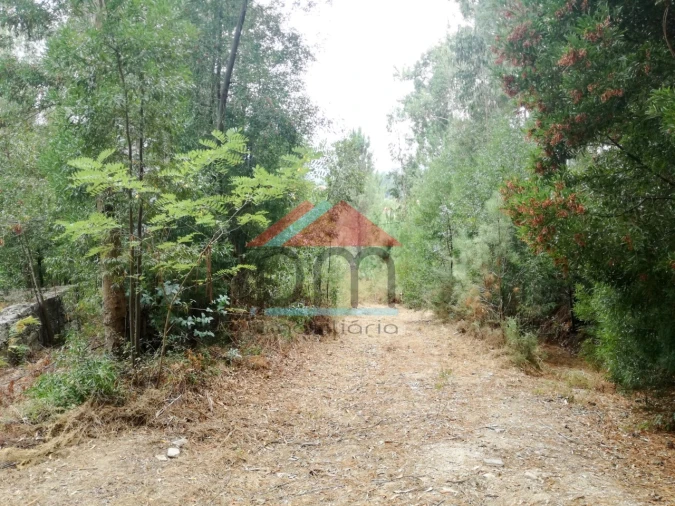 Terreno para Venda em Troporiz e Lapela Foto 7