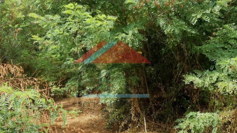 Terreno para Venda em Troporiz e Lapela