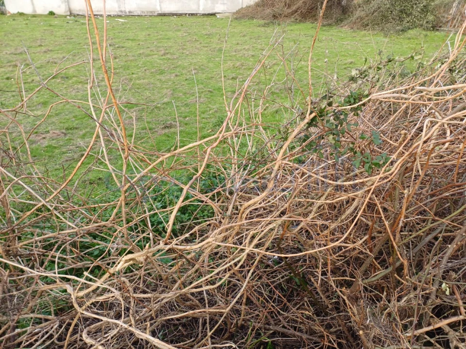 Terreno para Venda em Marrazes e Barosa Foto 3