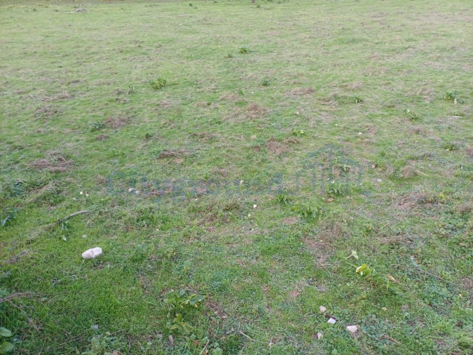 Terreno para Venda em Marrazes e Barosa Foto 2