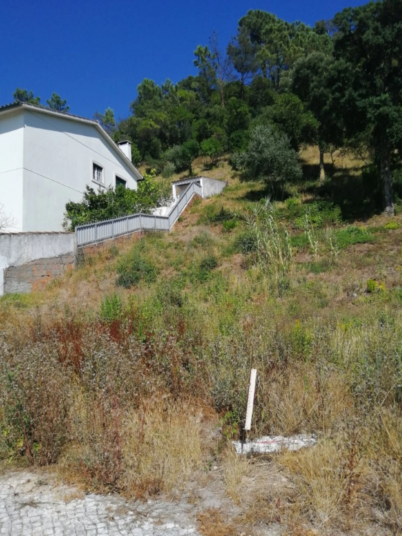 Terreno para Venda em Leiria, Pousos, Barreira e Cortes Foto 3