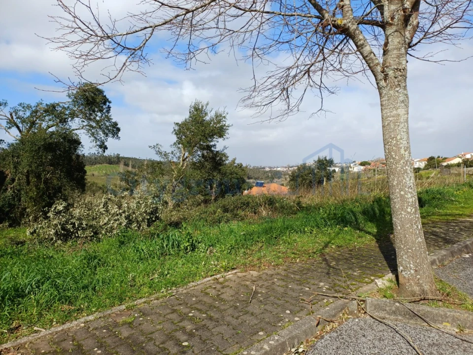 Terreno para Venda em Leiria, Pousos, Barreira e Cortes Foto 7