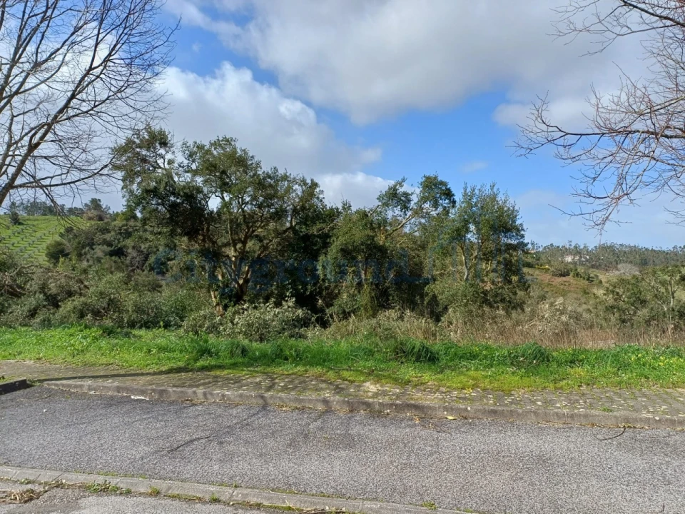 Terreno para Venda em Leiria, Pousos, Barreira e Cortes Foto 8