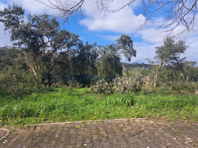 Terreno para Venda em Leiria, Pousos, Barreira e Cortes Foto 2