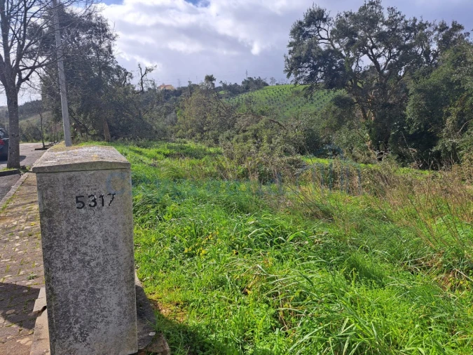 Terreno para Venda em Leiria, Pousos, Barreira e Cortes Foto 4