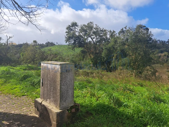Terreno para Venda em Leiria, Pousos, Barreira e Cortes Foto 5