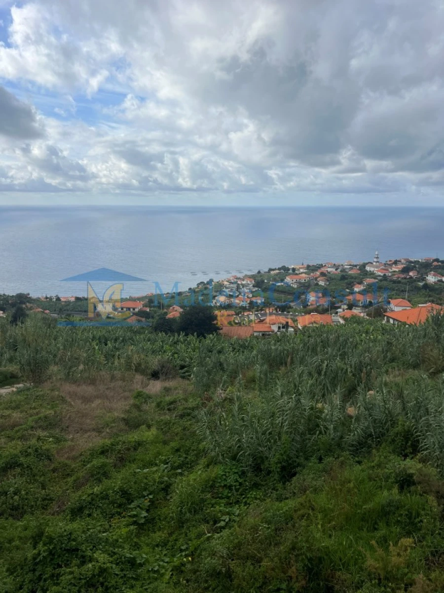 Terreno para Venda em Arco da Calheta Foto 4